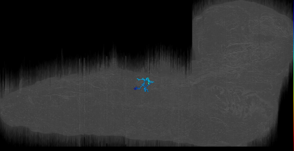 Larval motor circuit neurons (Zwart2016)
