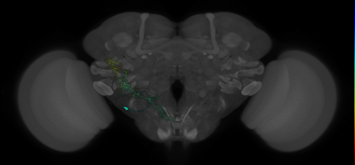 VESa1_P02(VLP)_0_2018U