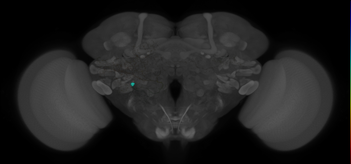 VESa2_H02(PLP)_0_2018U