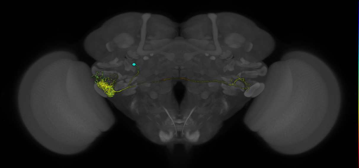 VLPa2_H02(VLP)_0_2018U