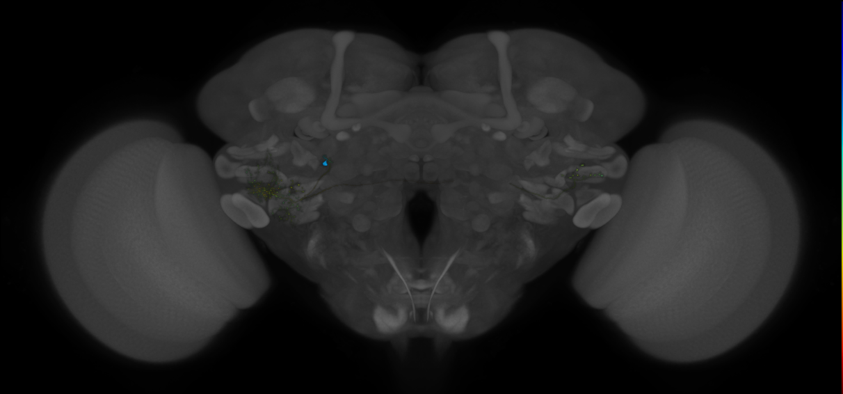 VLPa2_H07(VLP)_0_2018U