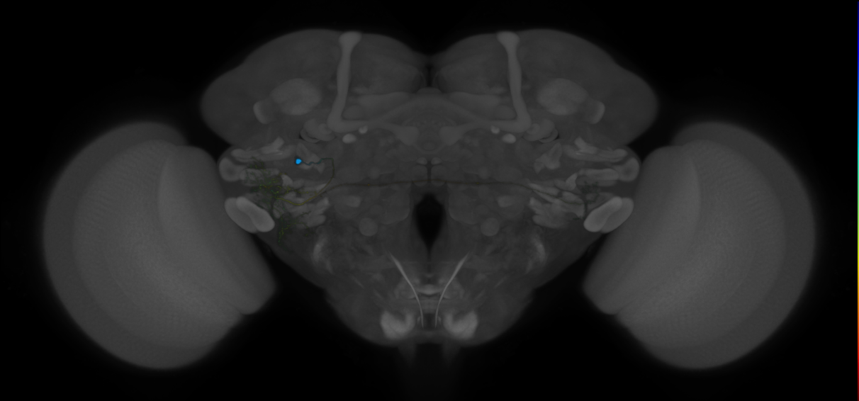 VLPa2_H12(VLP)_0_2018U
