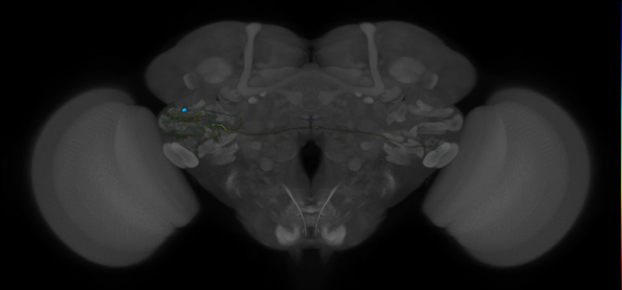 VLPa2_H14(VLP)_0_2018U