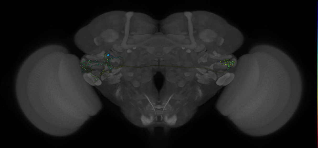 VLPa2_H16(VLP)_0_2018U