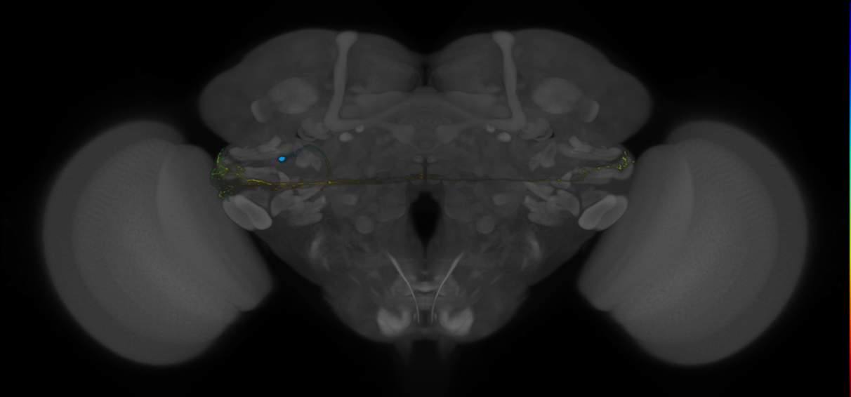 VLPa2_H22(VLP)_0_2018U