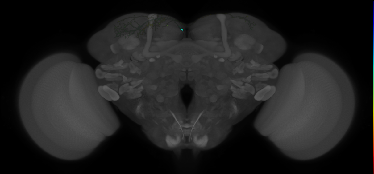 SMPad1_H15(SP)_0_2018U
