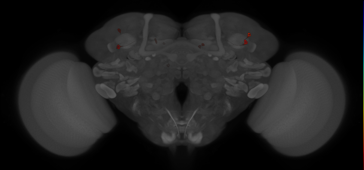 Split-GAL4 lines from Masek et al., 2015