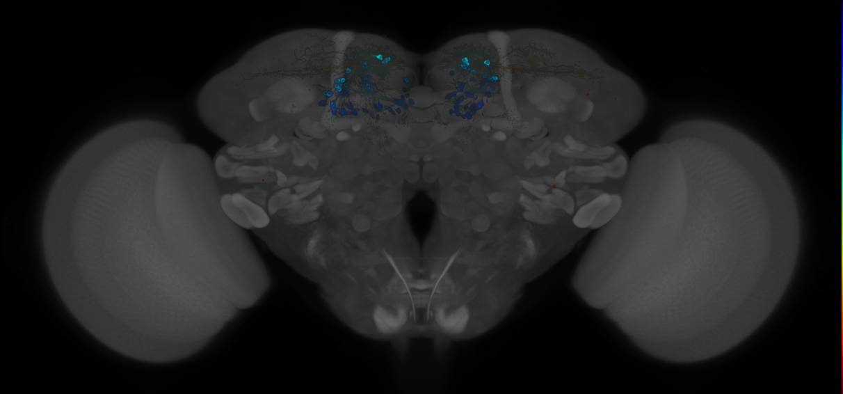 Split-GAL4 lines from Montague et al., 2019