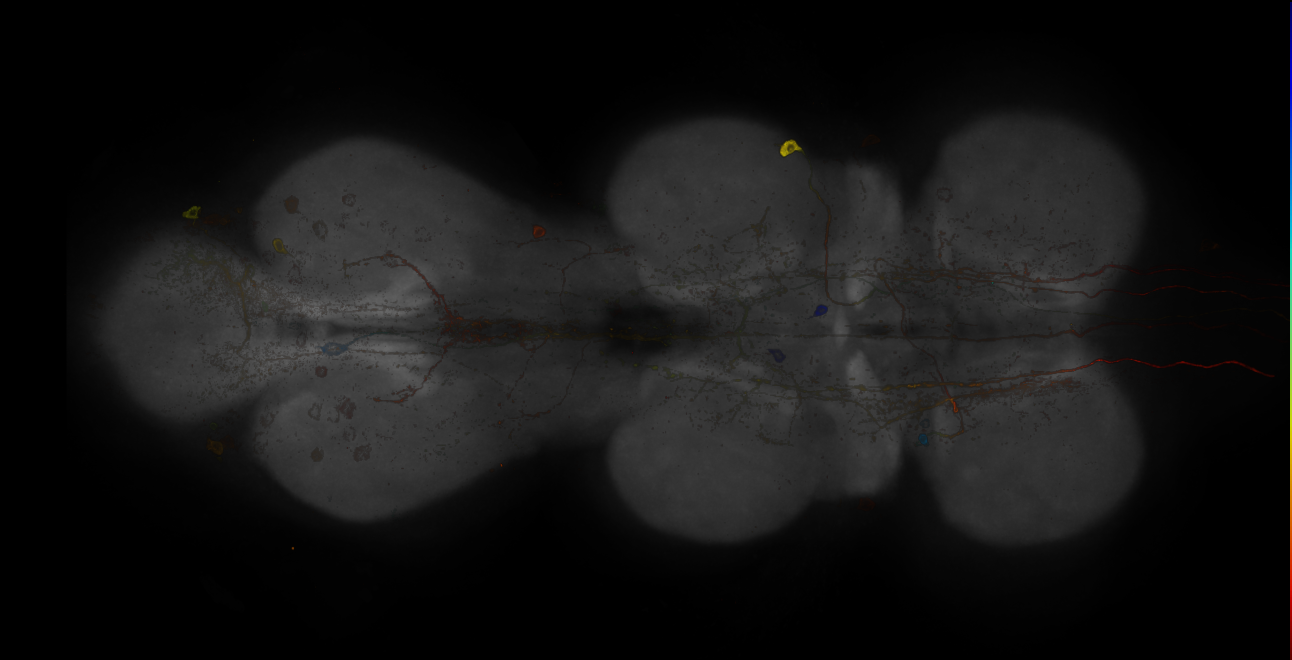 JRC_MB439B_VNC_20121210_33_F1_63x