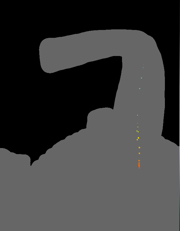 cuticular specialization