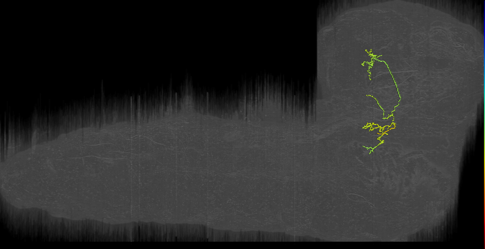 input/output neuron