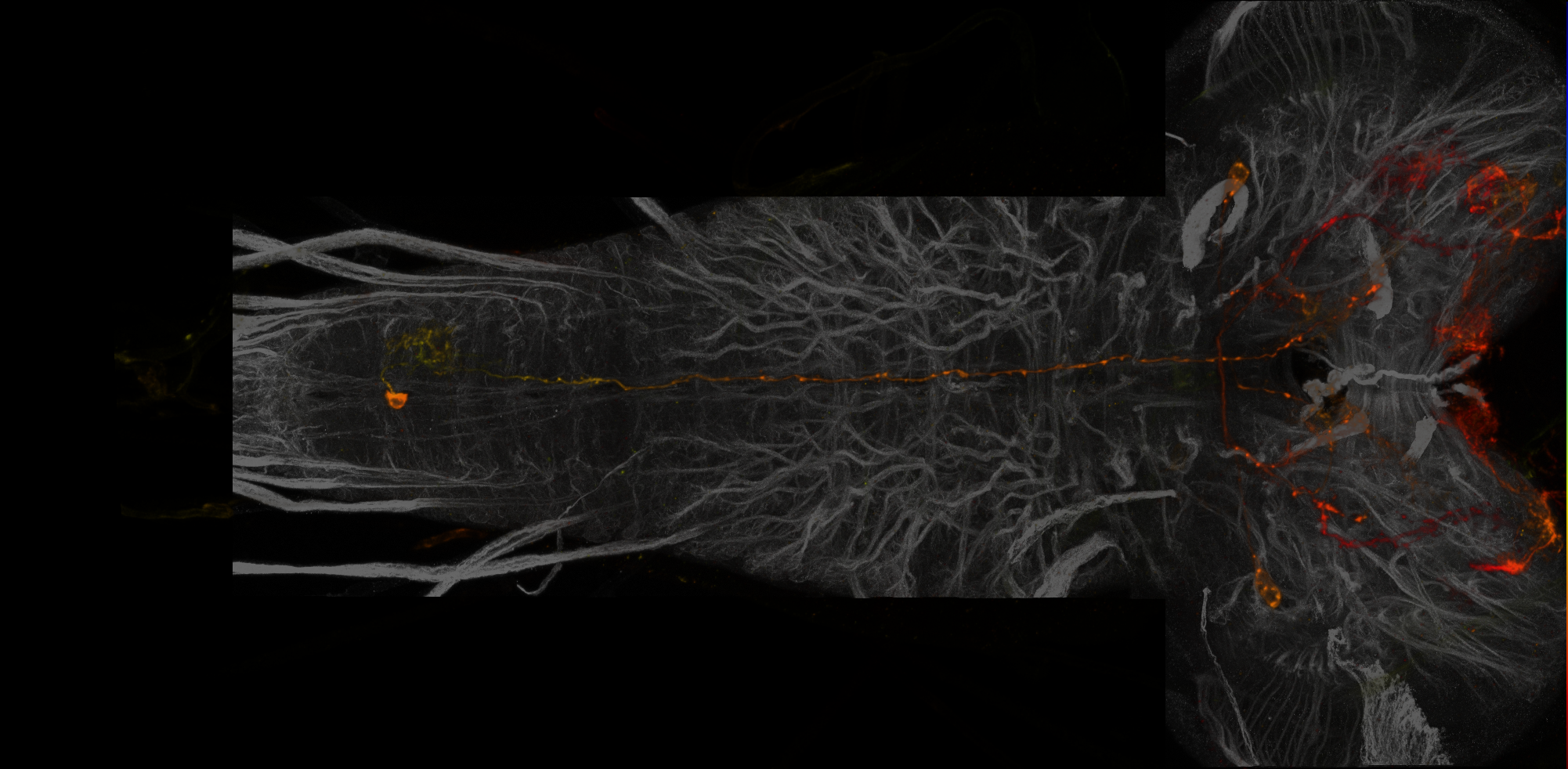 JRC_MB548B_L3CNS_A