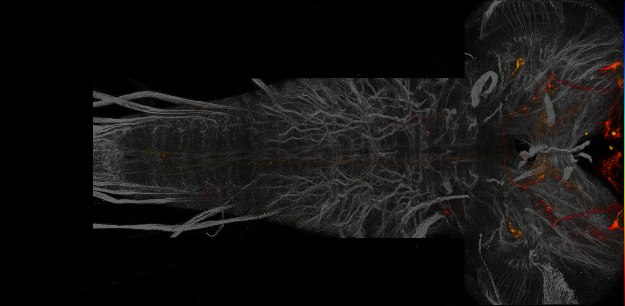 JRC_MB548B_L3CNS_B