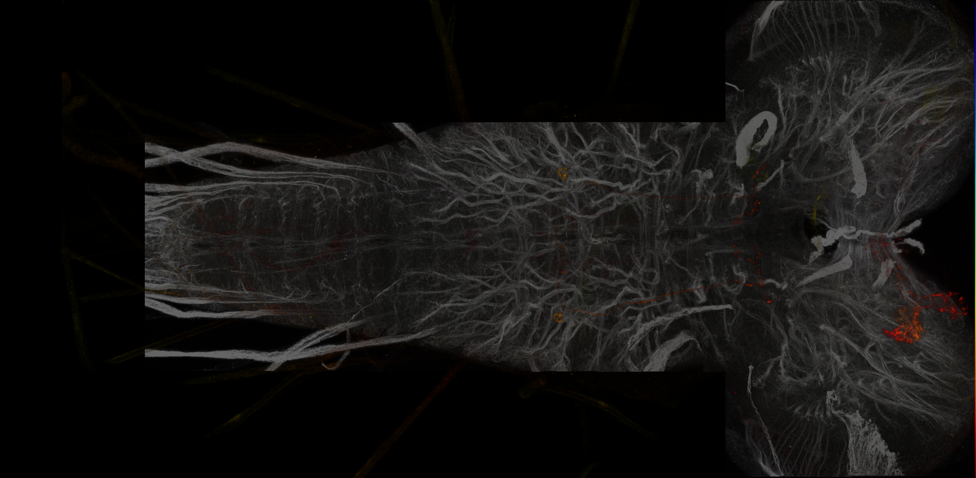 JRC_SS19051_L3CNS_A