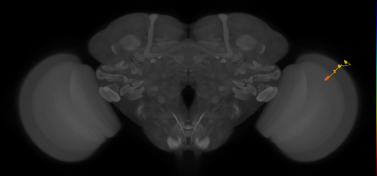BANC_626:720575941730522155