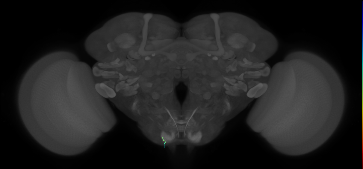 BANC_626:720575941653463569