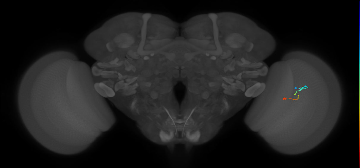 BANC_626:720575941656737560