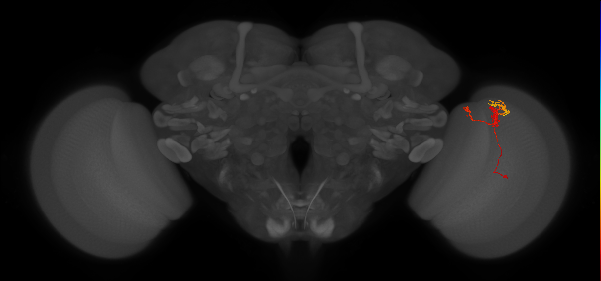 BANC_626:720575941660550456