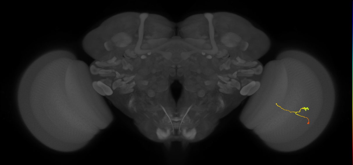 BANC_626:720575941662325116
