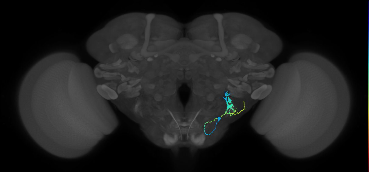 BANC_626:720575941666235635