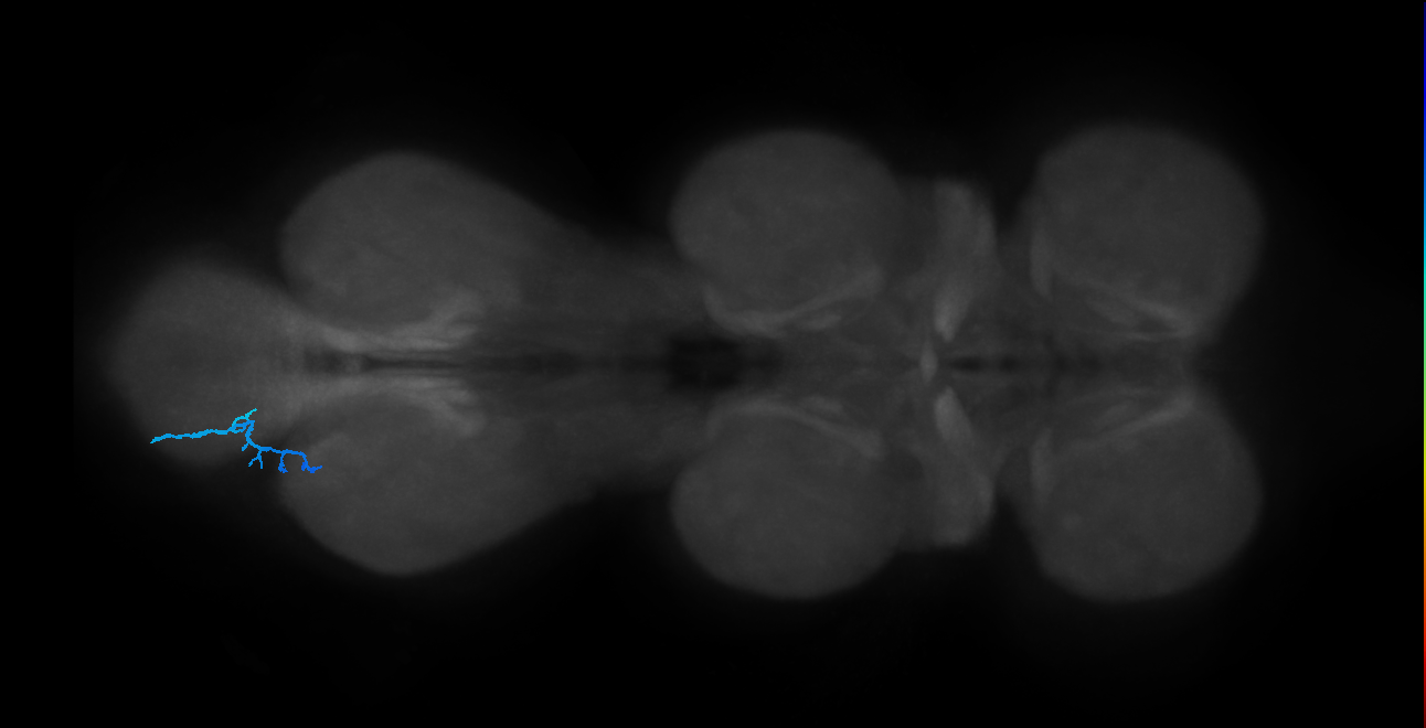 BANC_626:720575941669949105