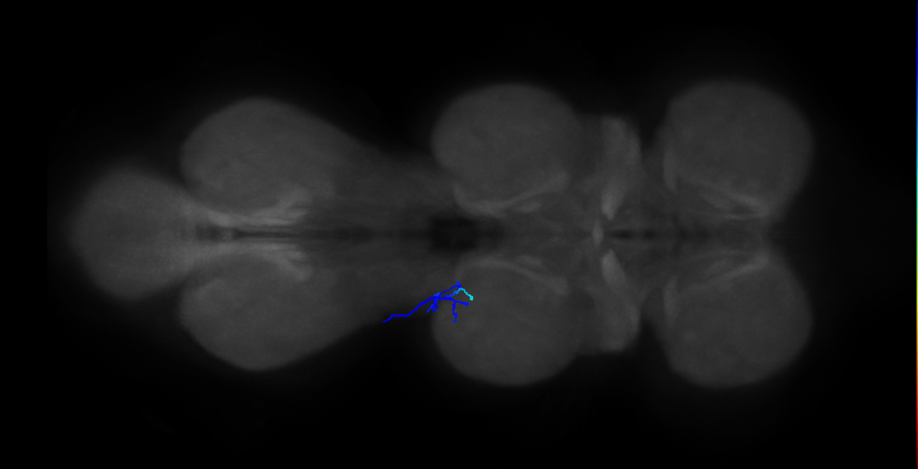 BANC_626:720575941671402407