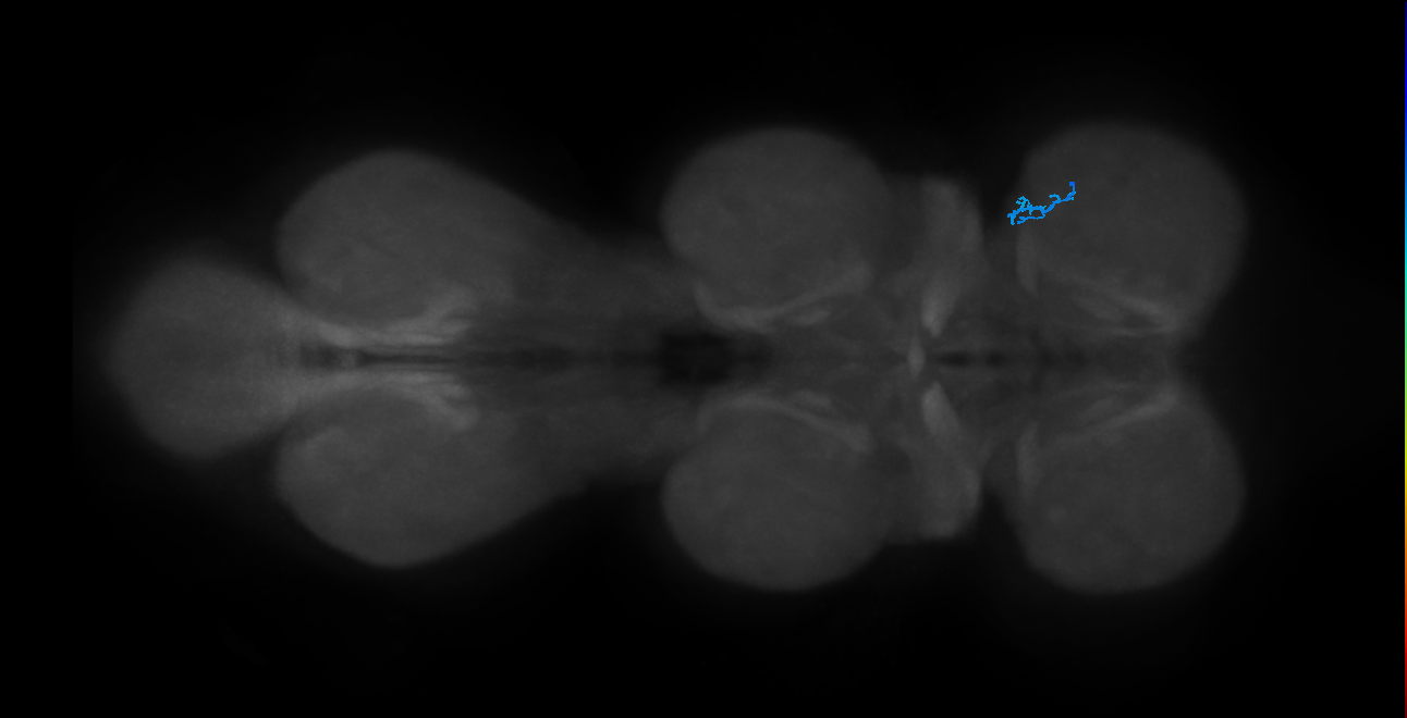 BANC_626:720575941674153690