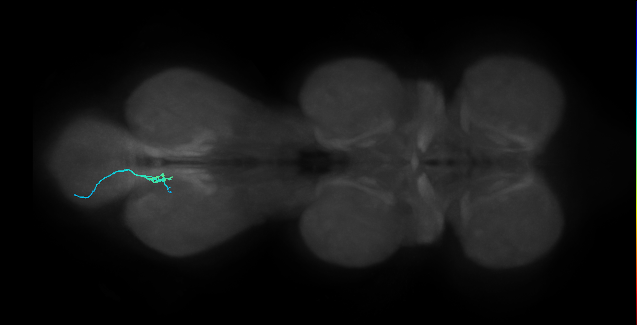 BANC_626:720575941679700669