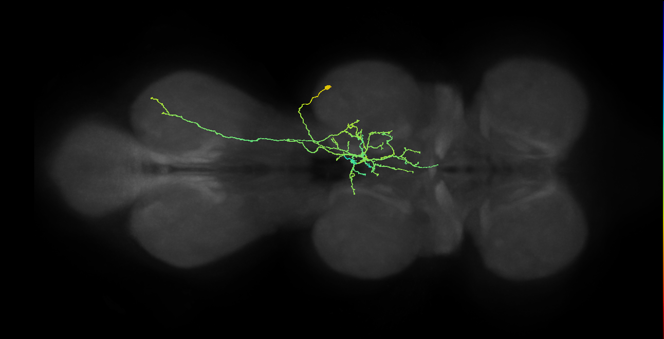 BANC_626:720575941686473996