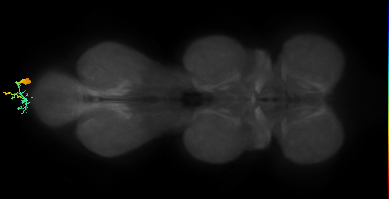 MNad48