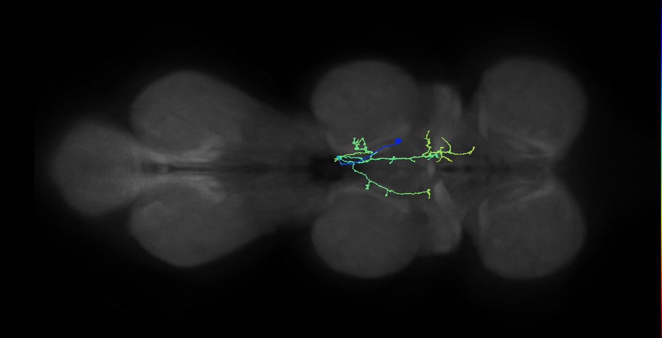BANC_626:720575941687927259