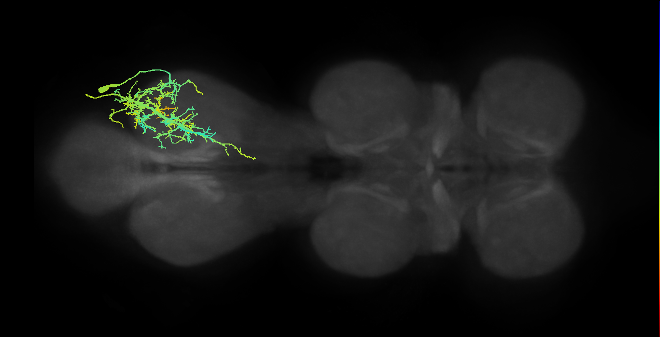 BANC_626:720575941688270744