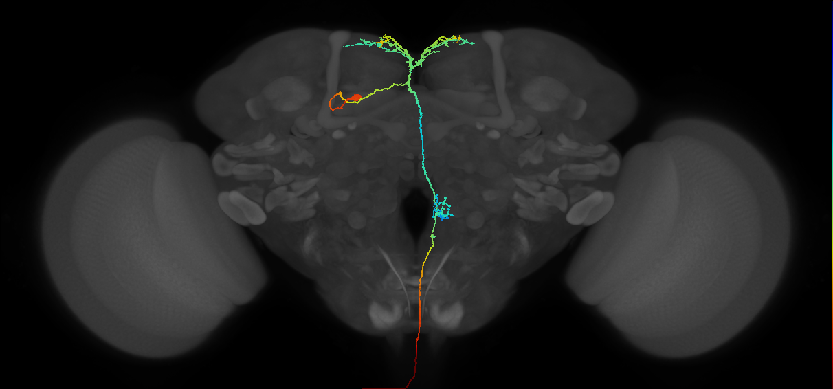 BANC_626:720575941688560367