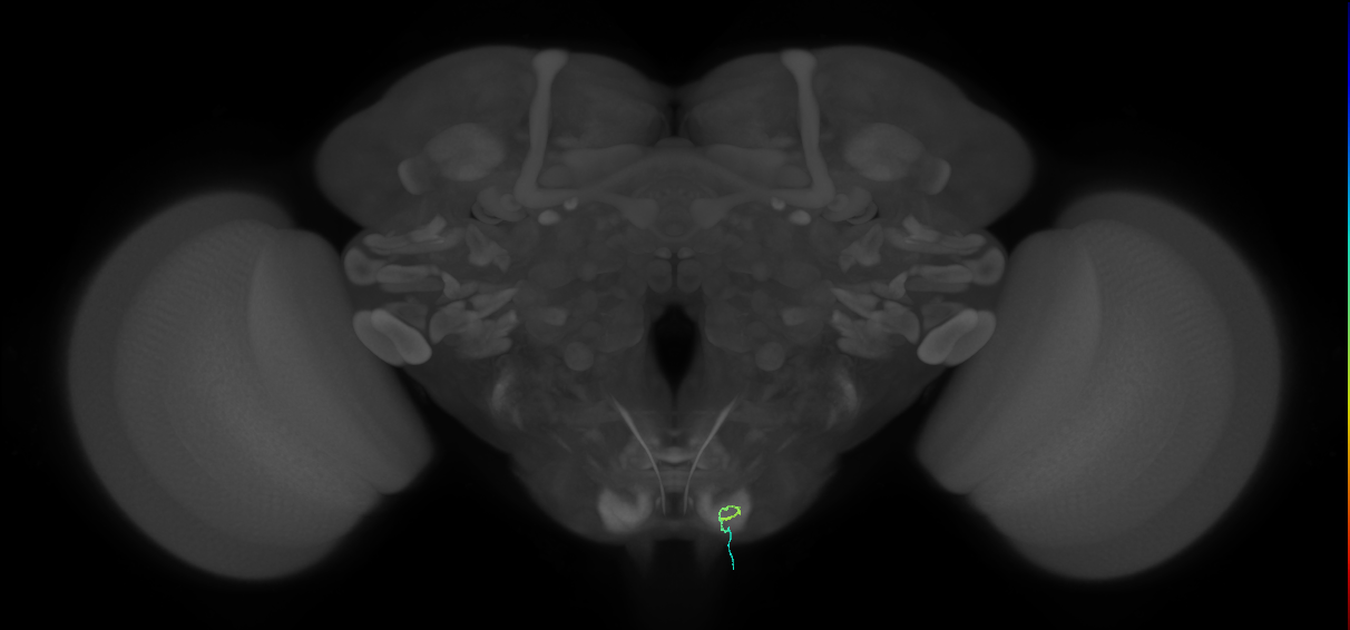 BANC_626:720575941688845686