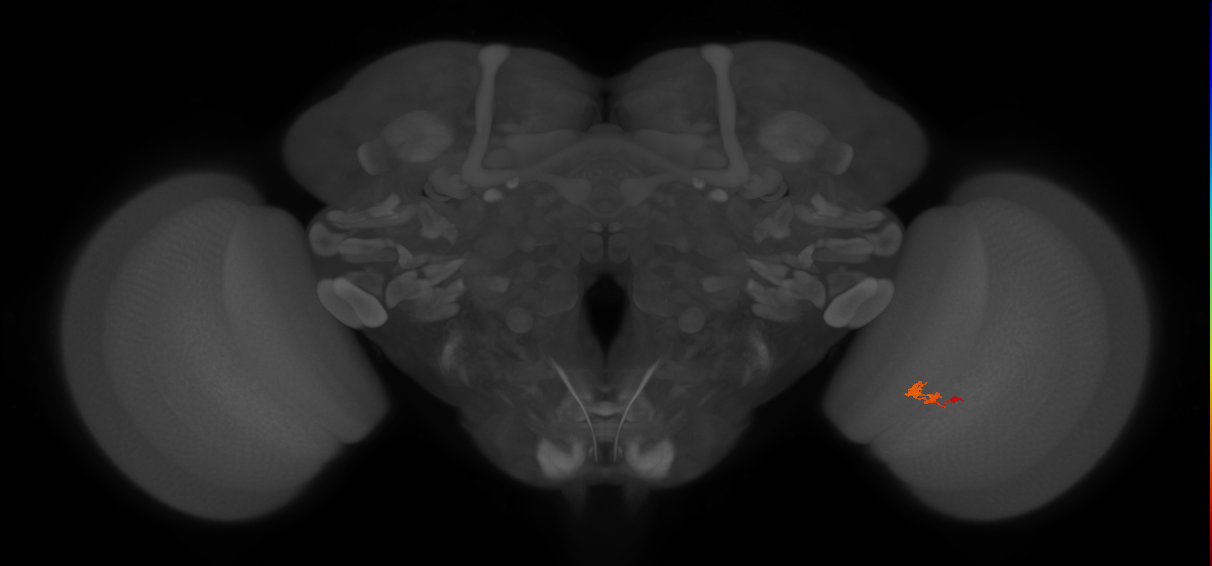 BANC_626:720575941689228440