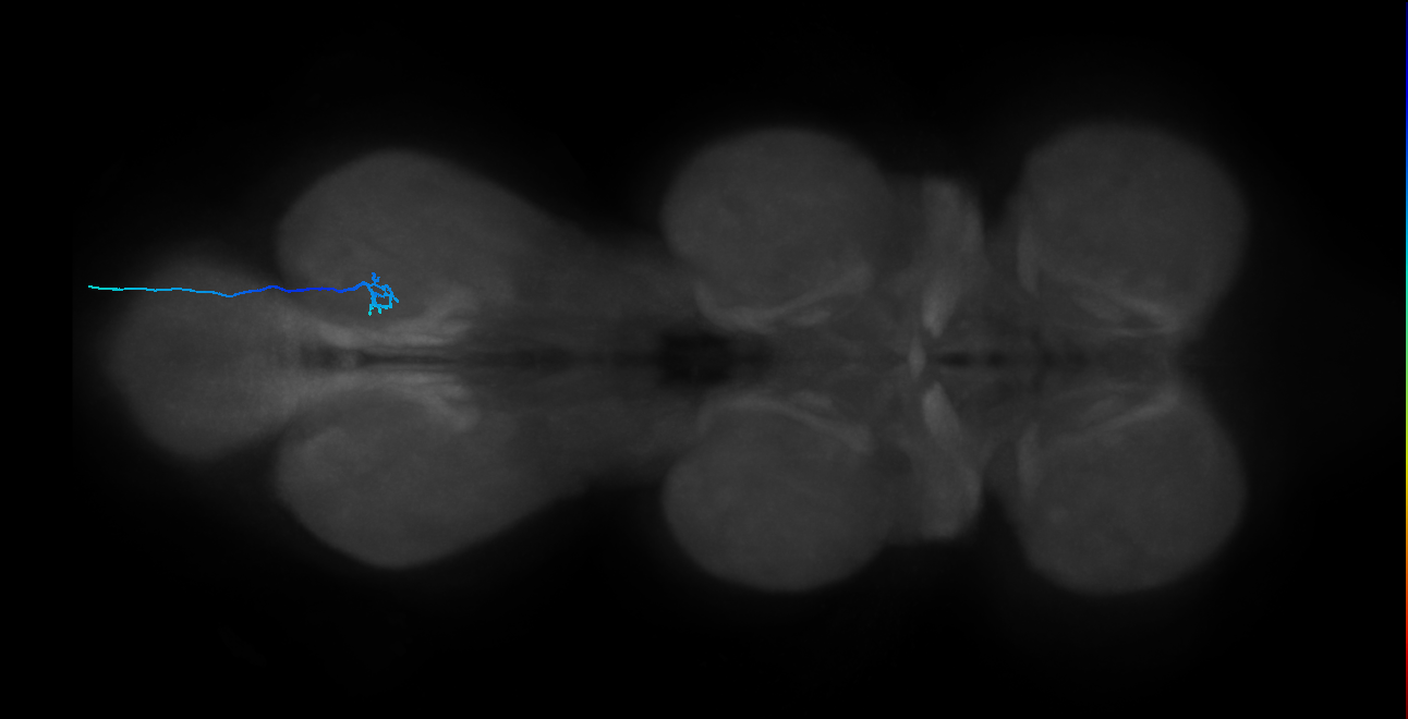BANC_626:720575941689463960