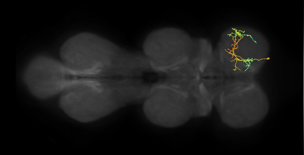 BANC_626:720575941626801190