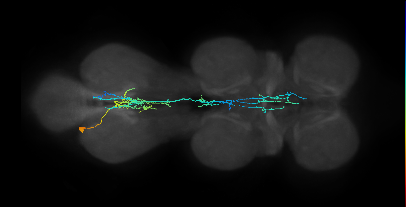 BANC_626:720575941628620582