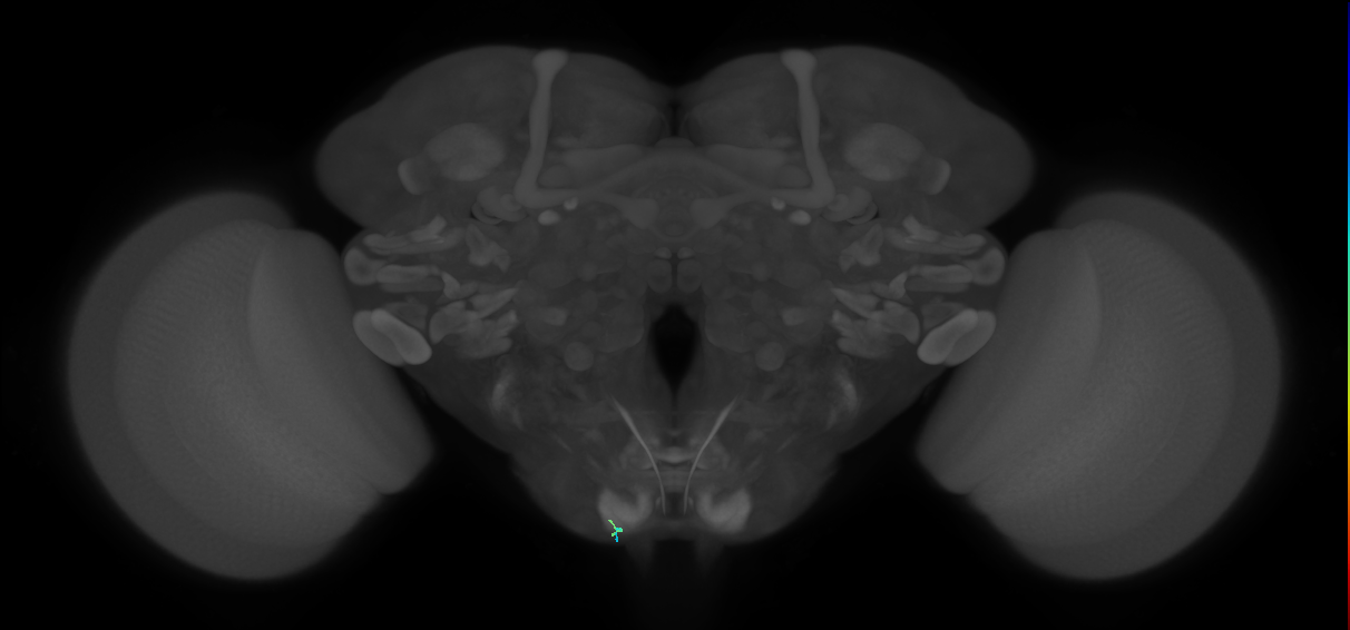 BANC_626:720575941632820677