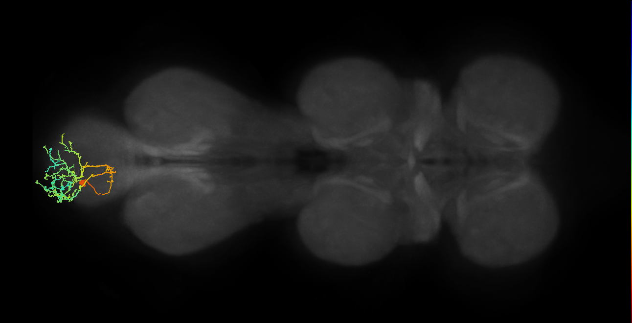 BANC_626:720575941639332981