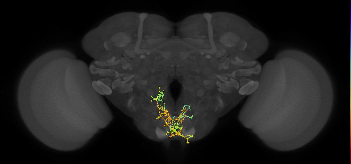 BANC_626:720575941639446645