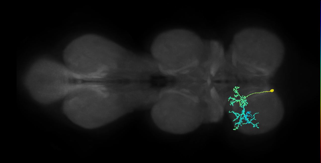 BANC_626:720575941641534565