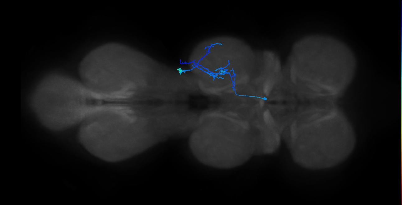 BANC_626:720575941642474952