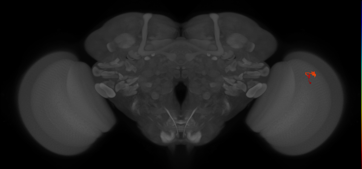 BANC_626:720575941643059832