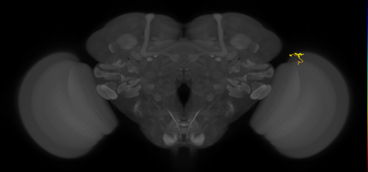 BANC_626:720575941643476129