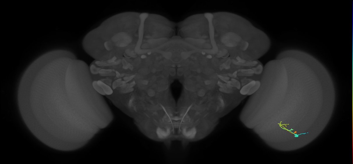 BANC_626:720575941644139976