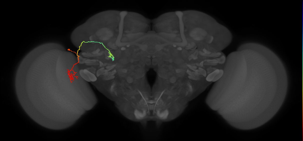 BANC_626:720575941645426552