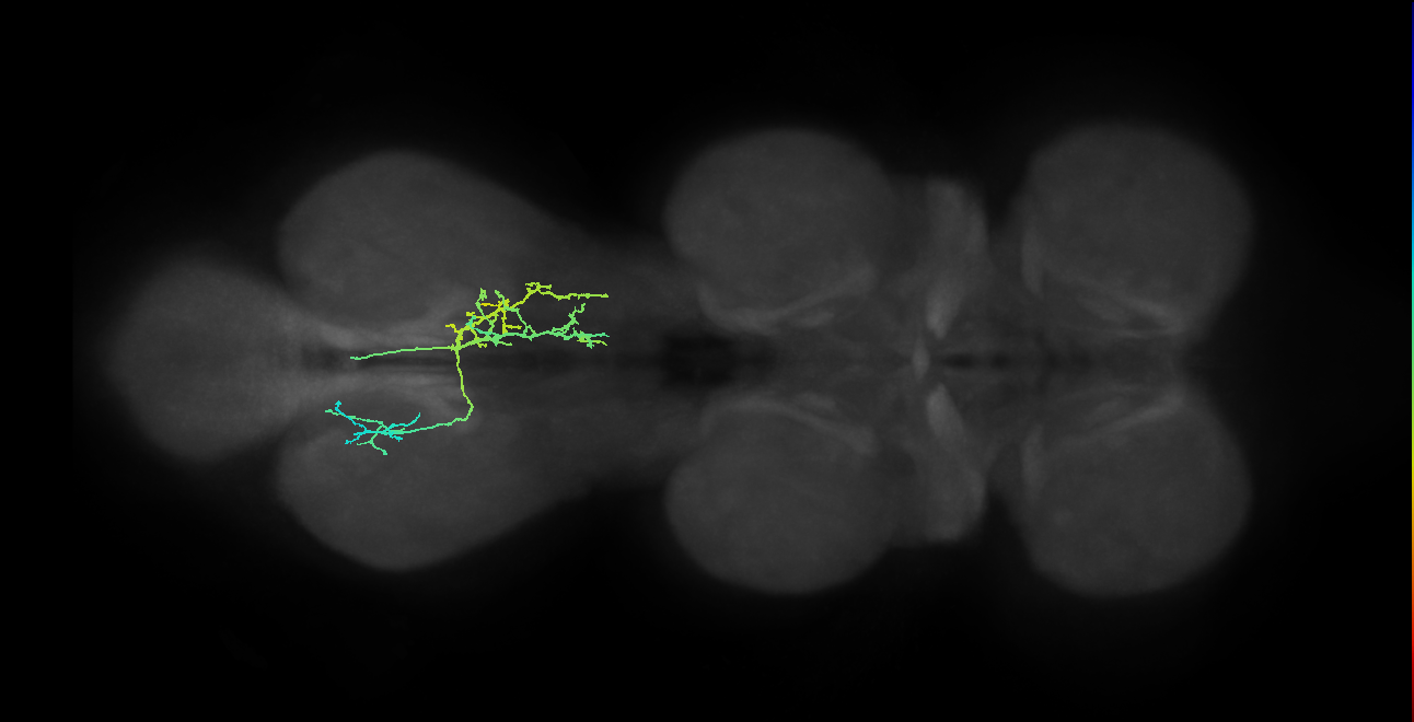 BANC_626:720575941650844437