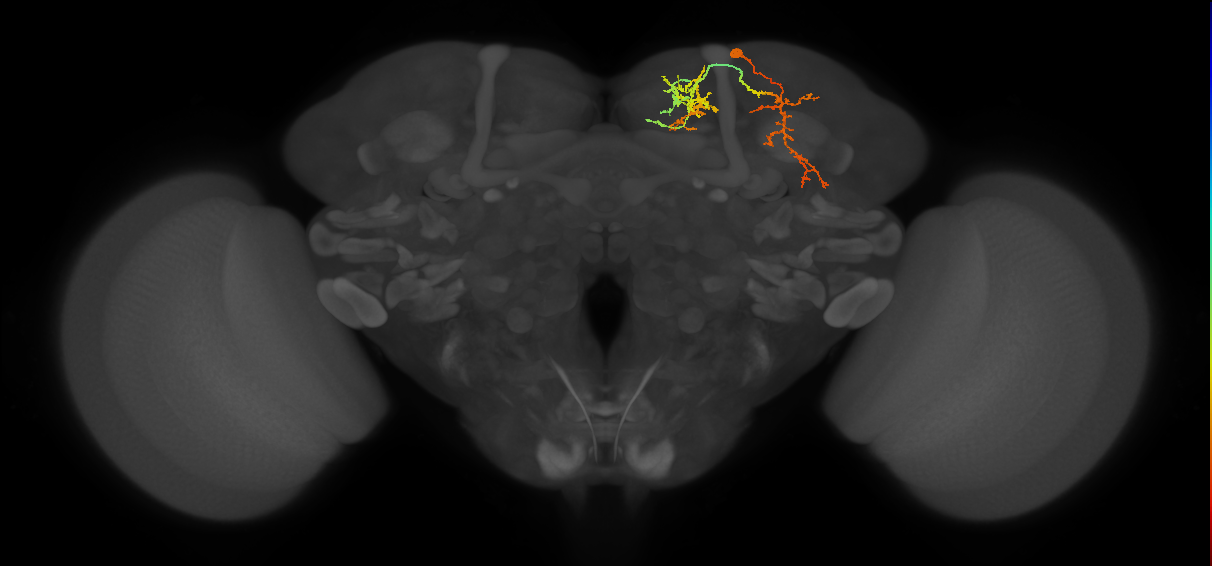 BANC_626:720575941607775597