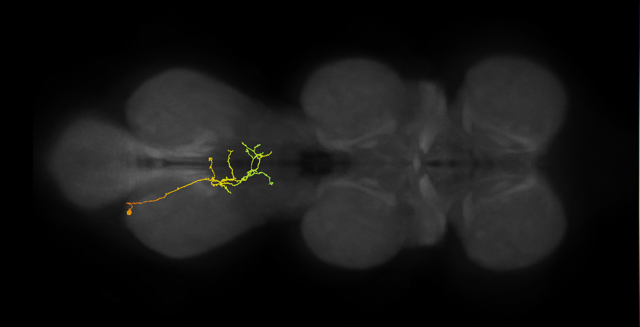 BANC_626:720575941609625674